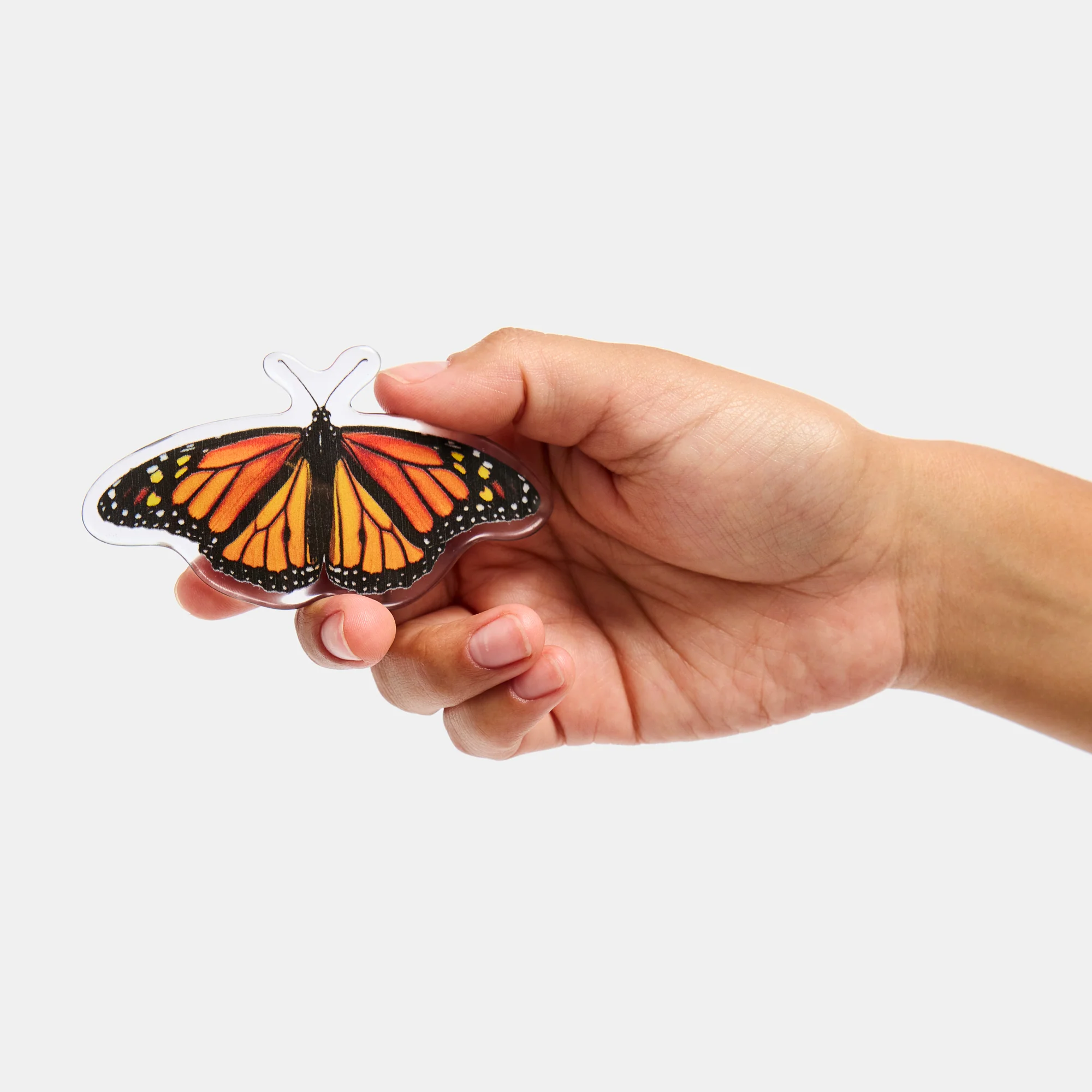 Barrette in Monarch Butterfly - Image 6